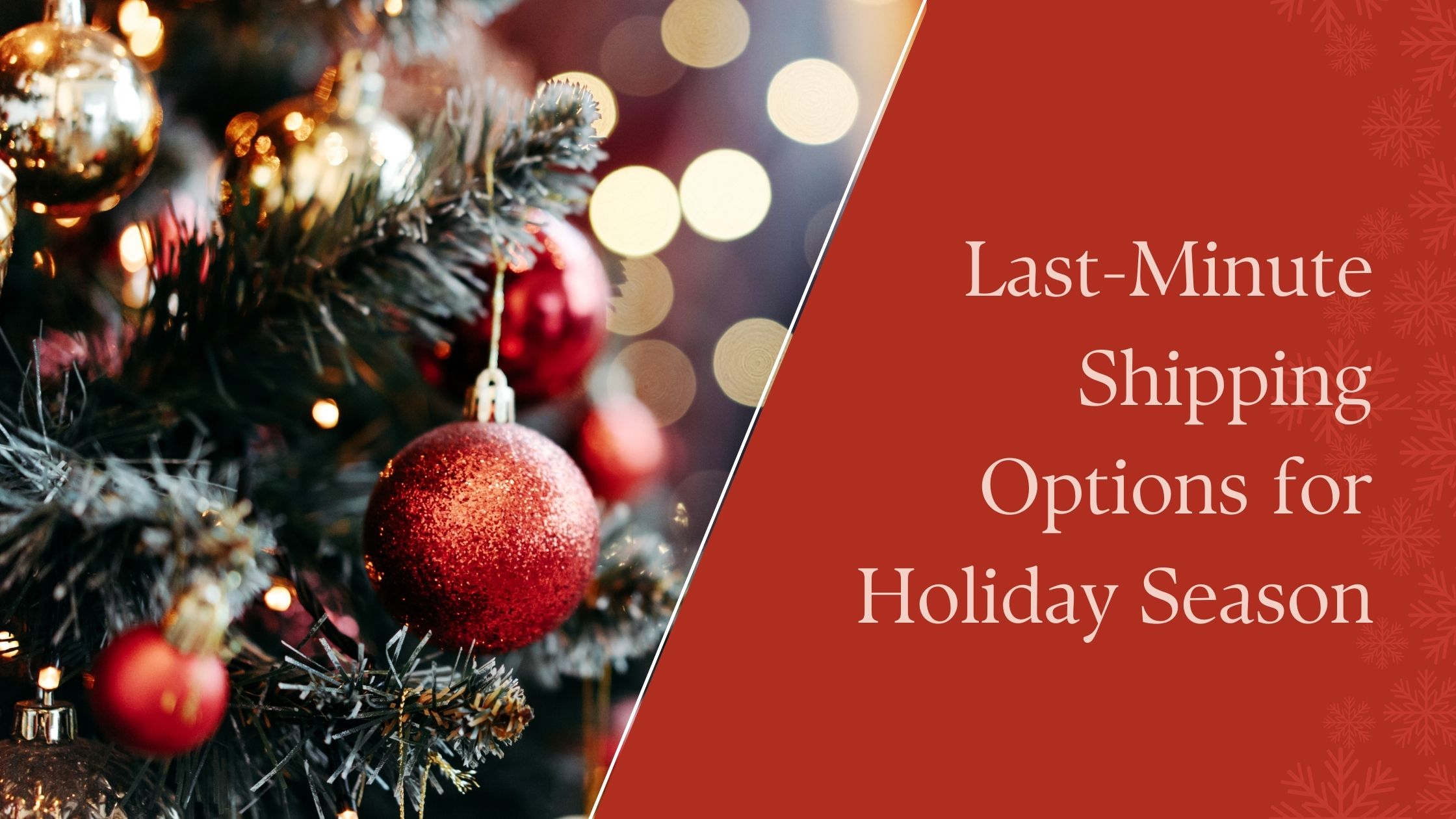 Last-Minute Shipping Options for Holiday Season by vervo middle east for logistics solutions in Dubai
